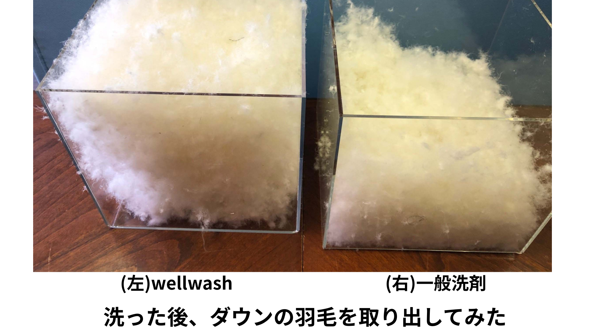 ダウンジャケット　洗濯後　羽毛の嵩高の違い　一般洗剤との比較