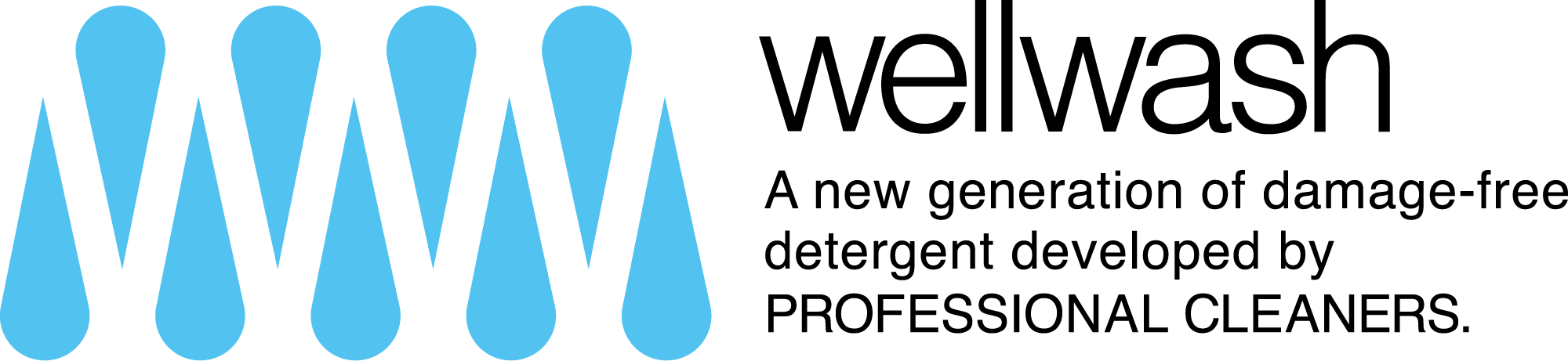 wellwashのロゴ